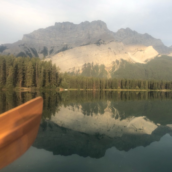 Meet your Posher, Redbird - Picture 2 of 2